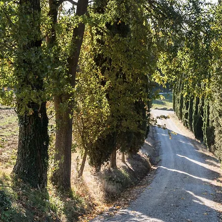فيلة Il Giardinello *